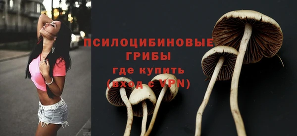 ГАЛЛЮЦИНОГЕННЫЕ ГРИБЫ Верхнеуральск