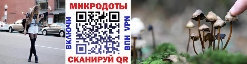 Псилоцибиновые грибы Cubensis  Вологда 